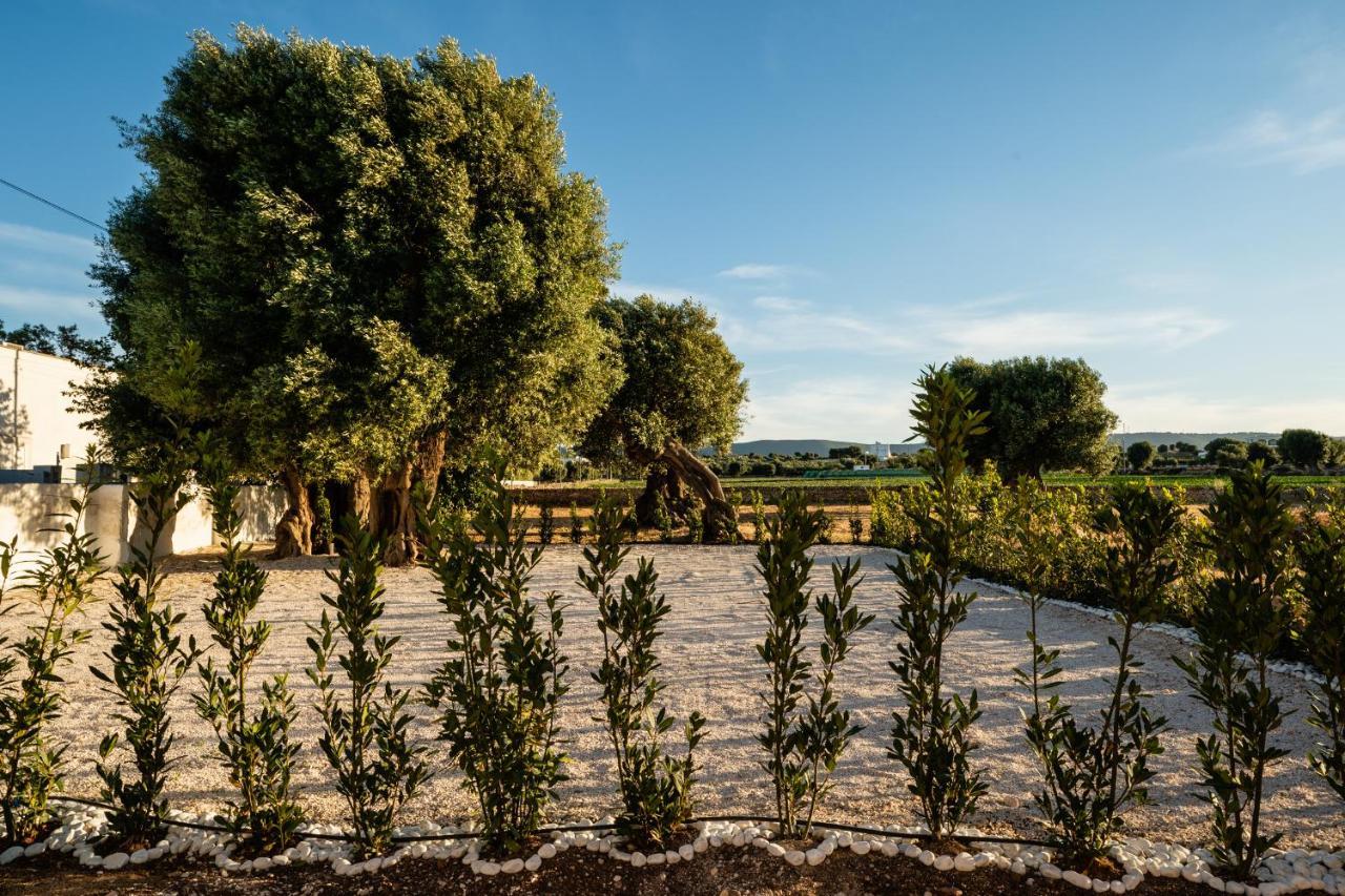 Villa Il Pergolato Sul Mare Monopoli Exterior foto