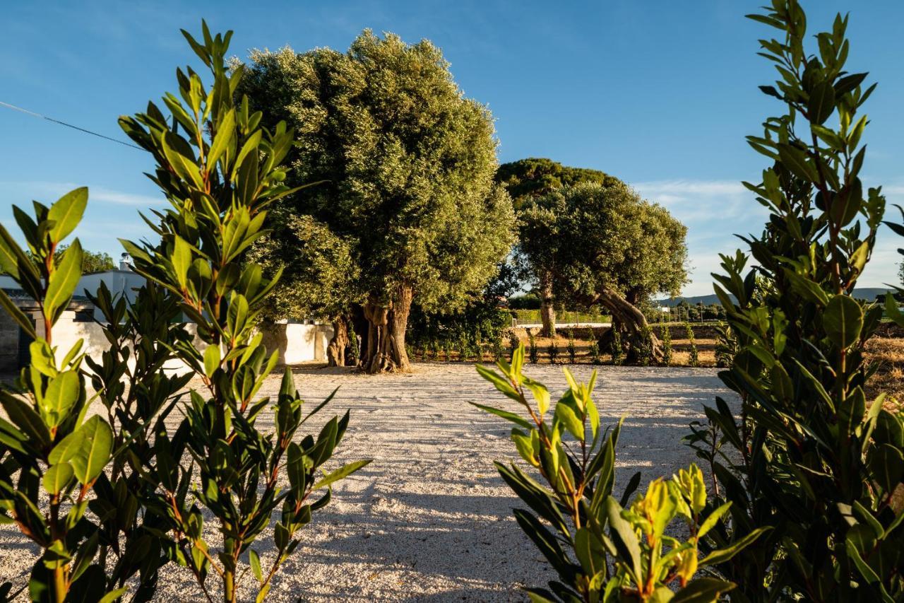 Villa Il Pergolato Sul Mare Monopoli Exterior foto